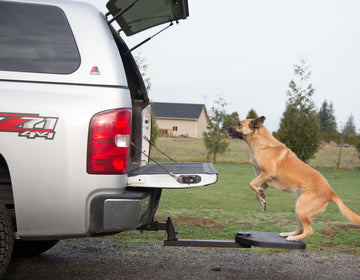 Enhancing Pet Safety: Why Every SUV Needs a Dog Step