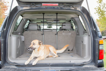 The Ultimate Guide to Dog Partitions for Cars: Ensuring Safety and Comfort for Your Furry Friend