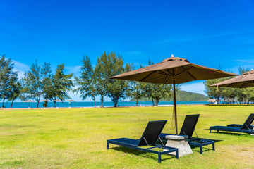 Patio Umbrella Buying Guide