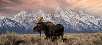 Top 5 Hidden Spots in Wyoming's National Parks