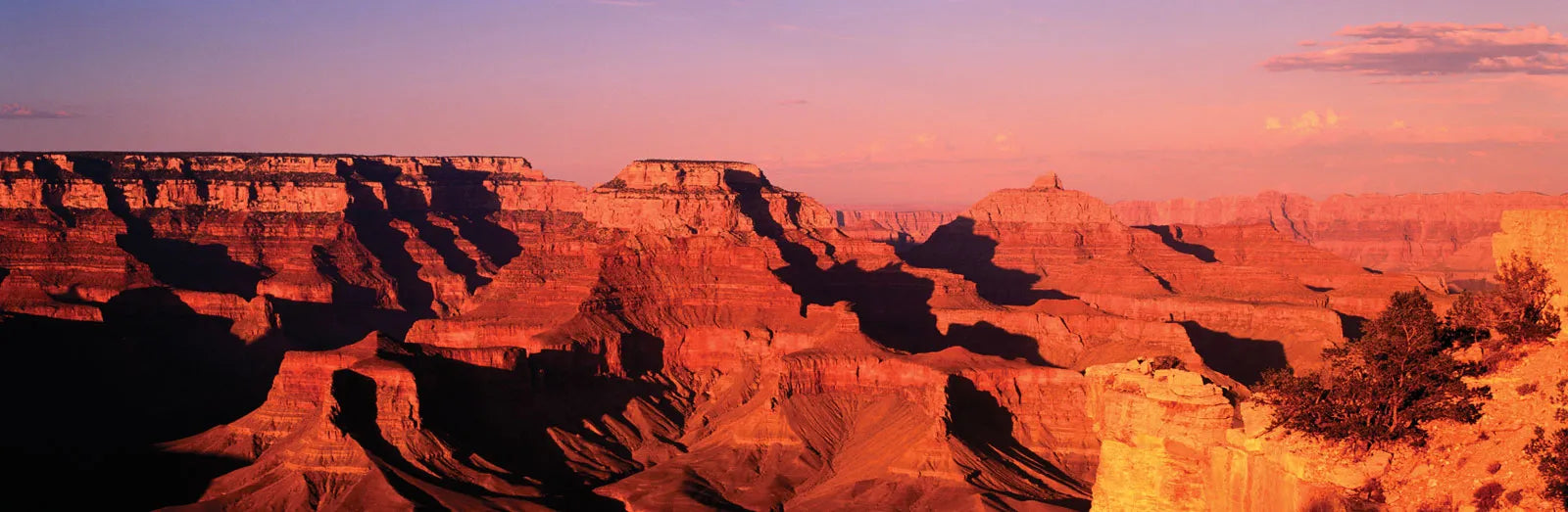 Top 5 Must-Visit Places in Grand Canyon National Park