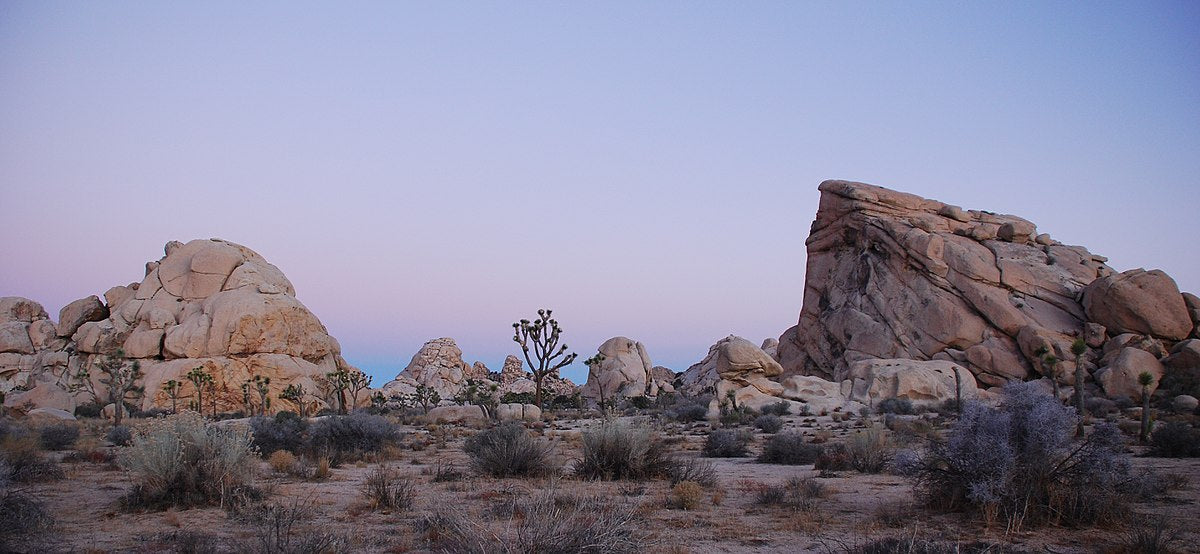 10 Must-See Attractions in Joshua Tree National Park