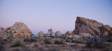 10 Must-See Attractions in Joshua Tree National Park