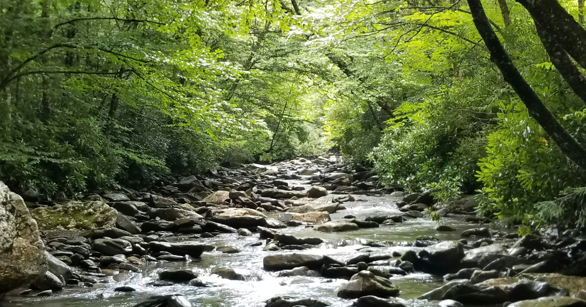 10 Must-Visit Outdoor Adventure Spots in North Carolina