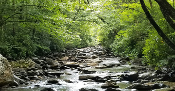 10 Must-Visit Outdoor Adventure Spots in North Carolina