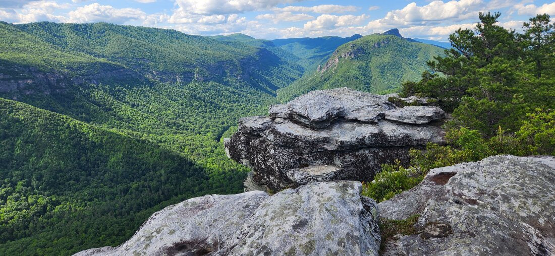 7 Must-Visit Hiking Trails in North Carolina