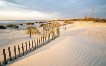 7 Must-Visit Beaches in South Carolina