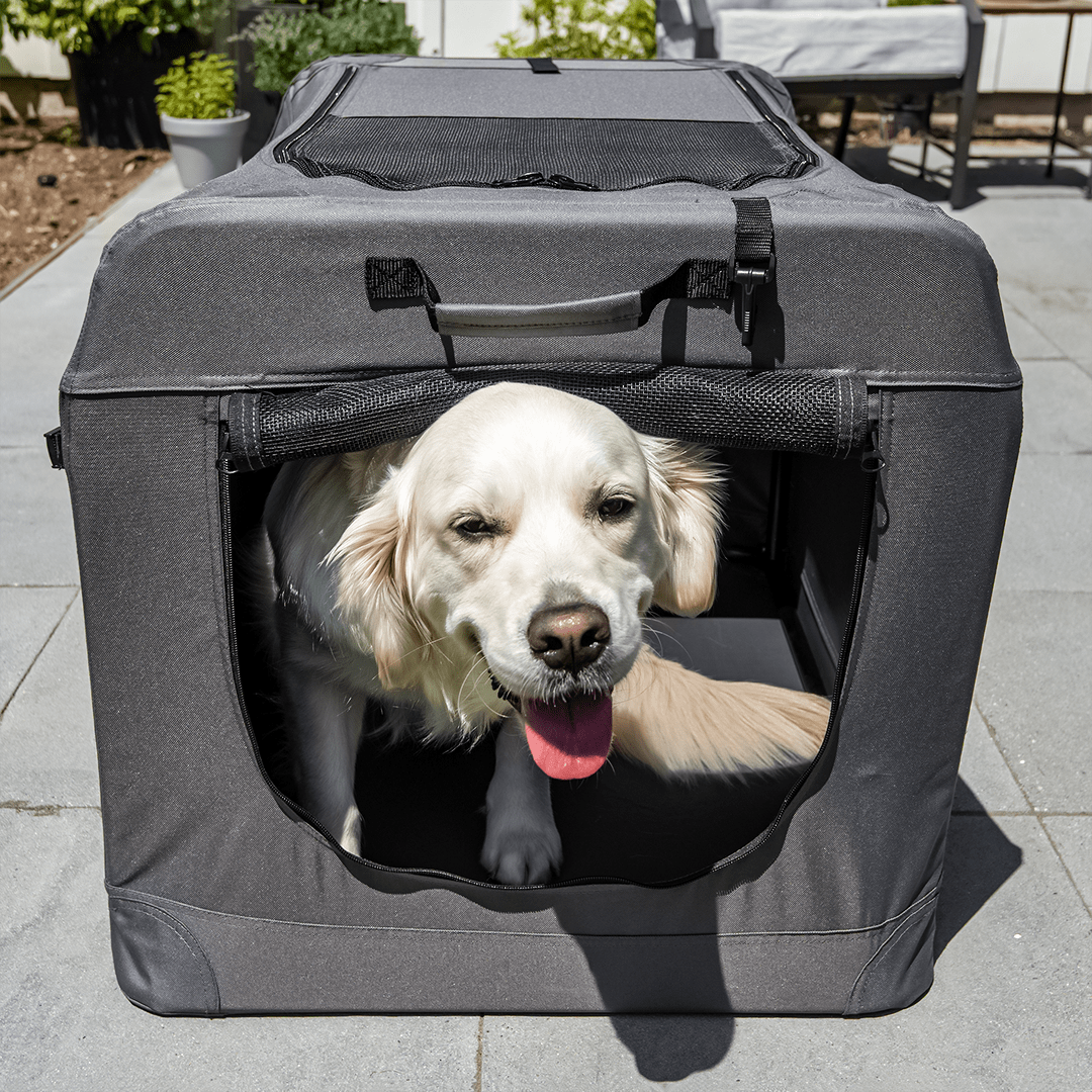 Large mesh dog crate online